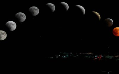 Reflections for the year of Patience